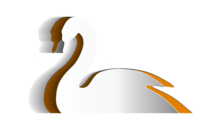 PETROCHEMICALS GROUP